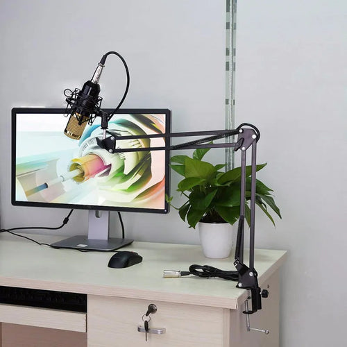 BM-800 condenser microphone set with net stand in black on desktop