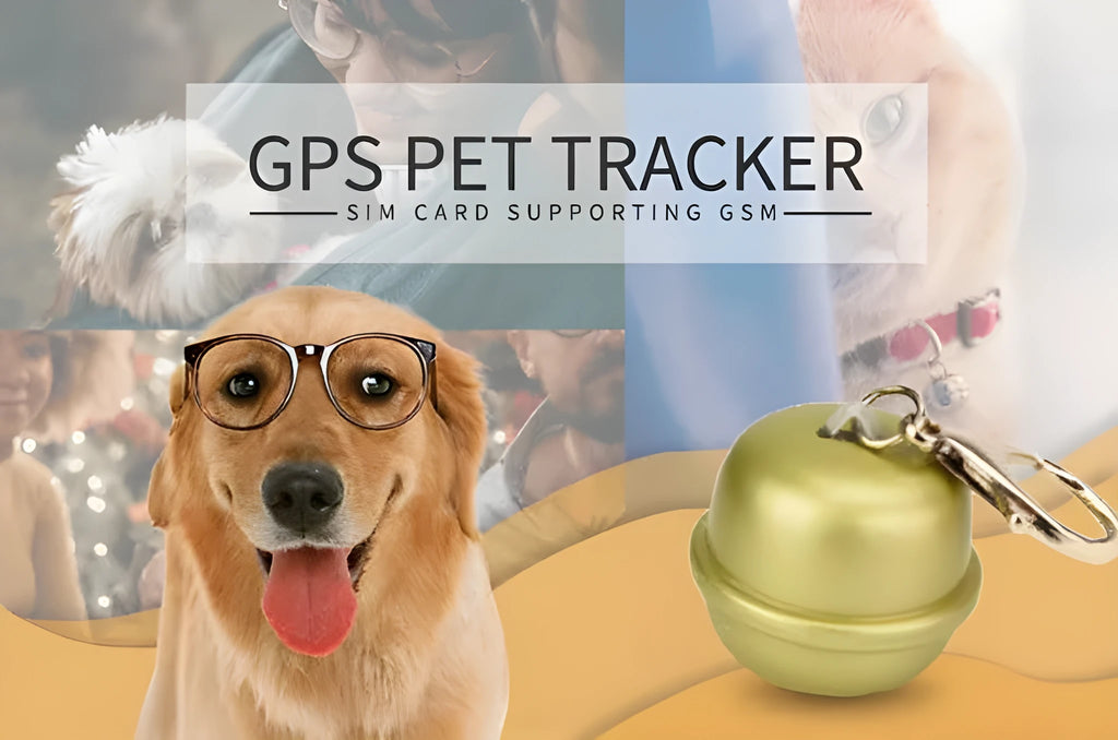 A black adjustable nylon GPS dog collar with a compact tracking unit attached, shown on a smartphone displaying a live map.
