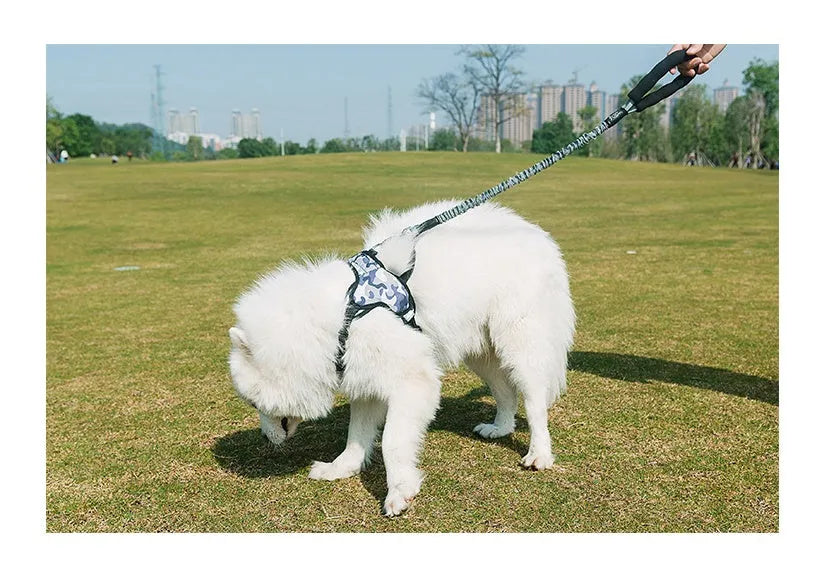 Gray nylon dog leash with chest strap for large medium small dogs, 75cm to 150cm stretchable