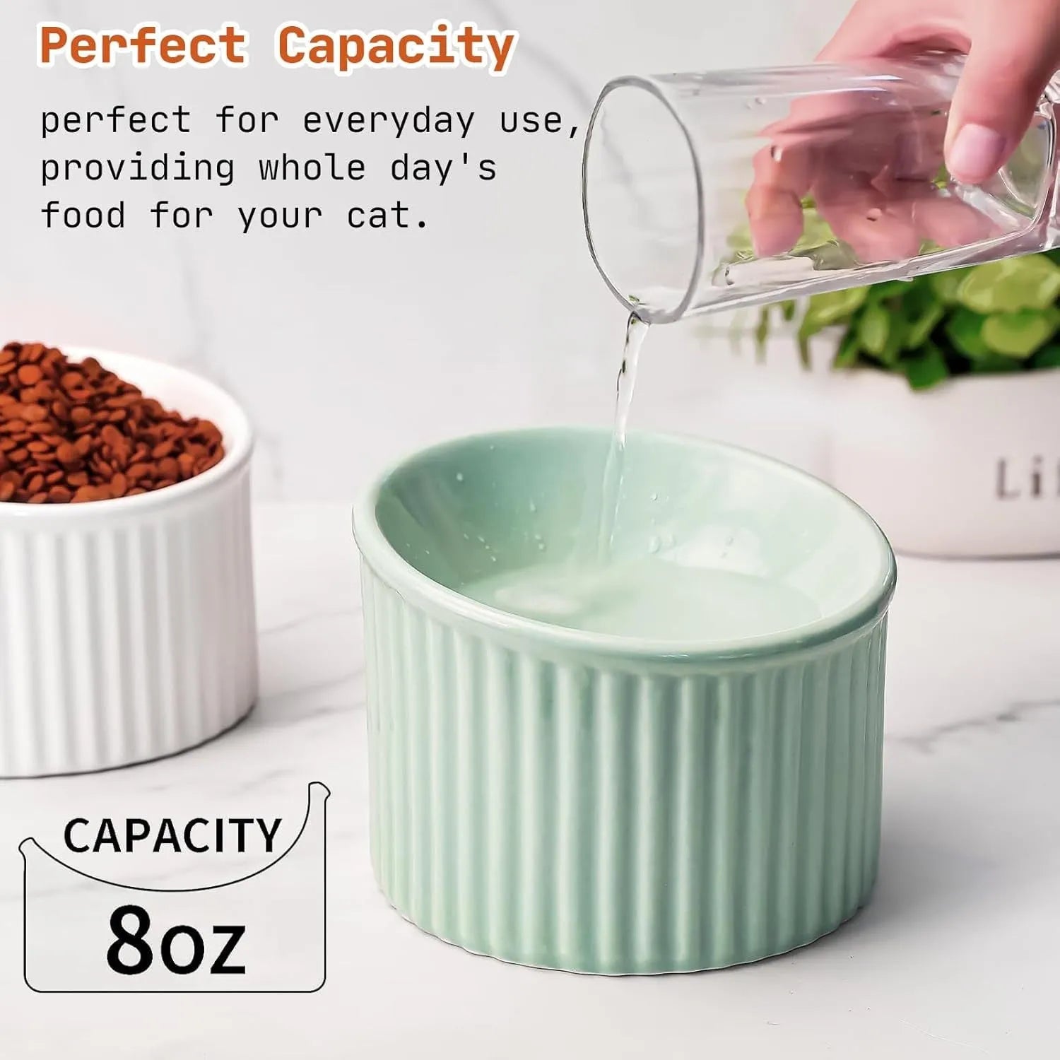 Elevated ceramic cat bowl in light green, showing tilted design and round whisker-friendly shape