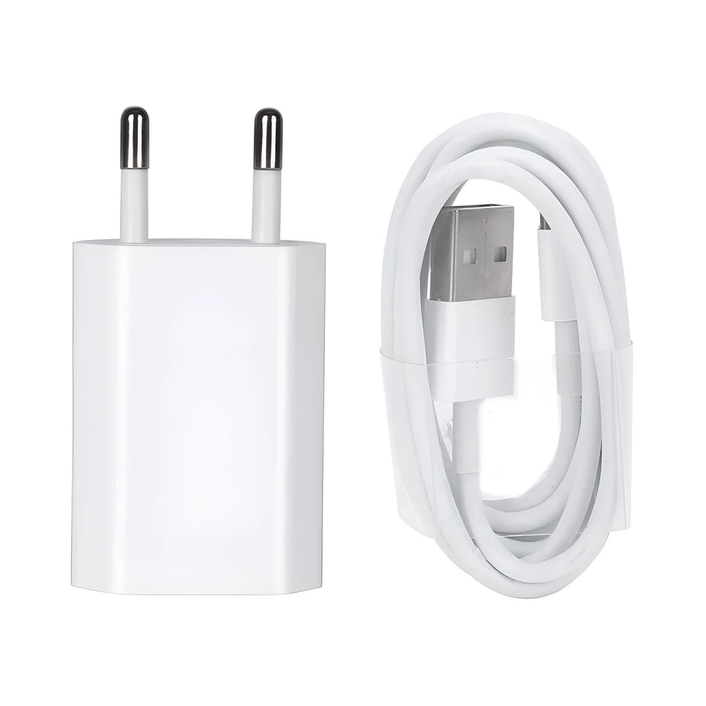 5V 2A USB wall charger compatible with iPhone and iPad models with cable options