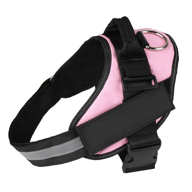 Personalised reflective nylon no-pull dog harness vest on a dog, showing adjustable straps and D-ring.