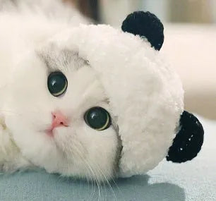 White wool panda costume pet hat with adjustable fit for cats and small dogs, sizes S M L XL