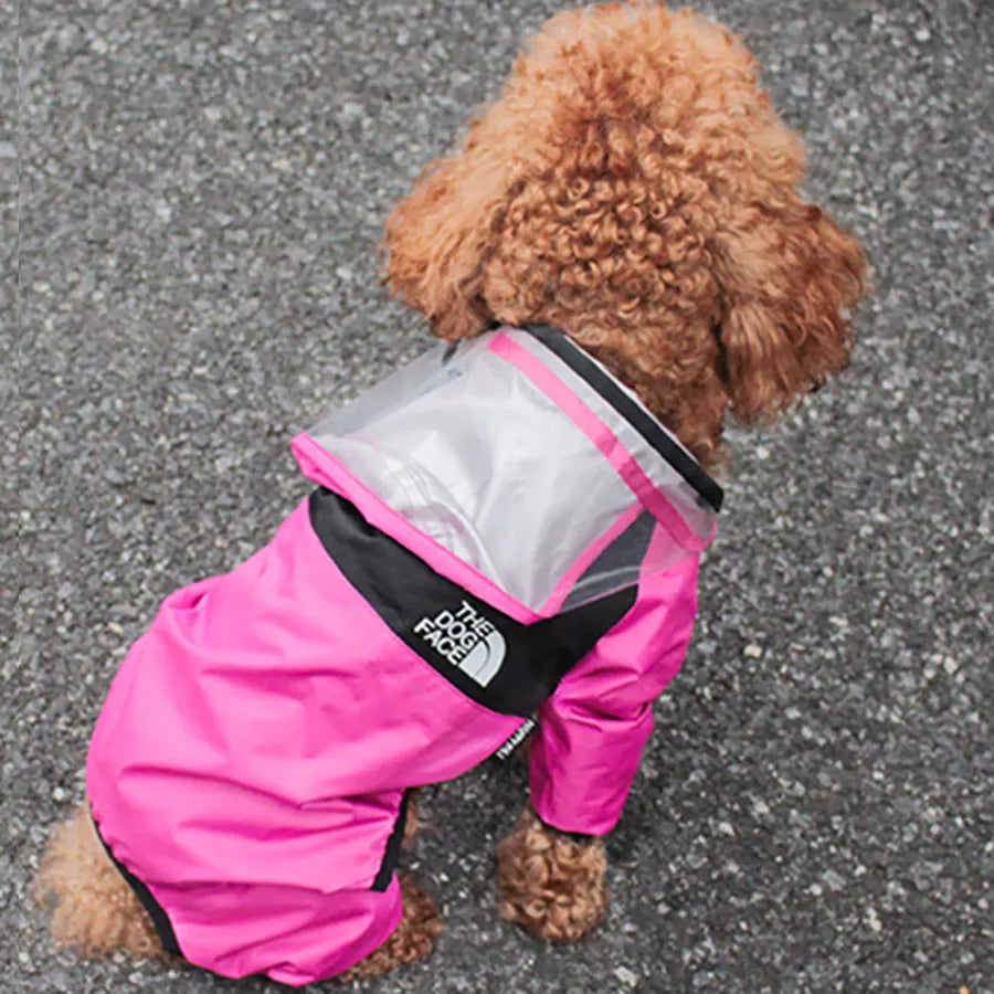 Long-legged dog wearing green rain poncho with transparent brim for rain protection