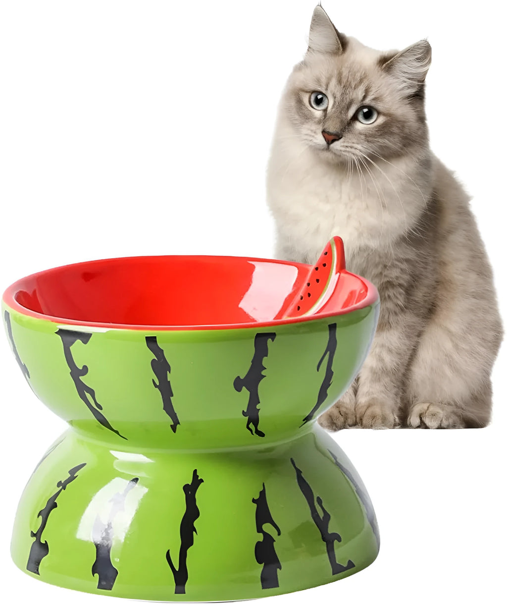 Ceramic elevated cat bowl with tilted design and patterned finish for comfortable pet feeding