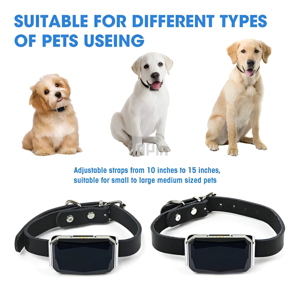 Blue 2G GPS pet tracker on a table with charging cable and hanging rope