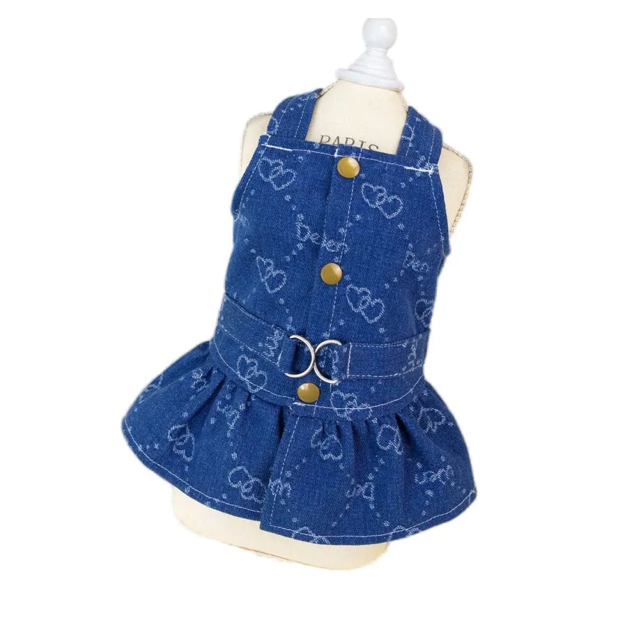 Teddy Bichon wearing thin denim princess dress in bracket-skirt style
