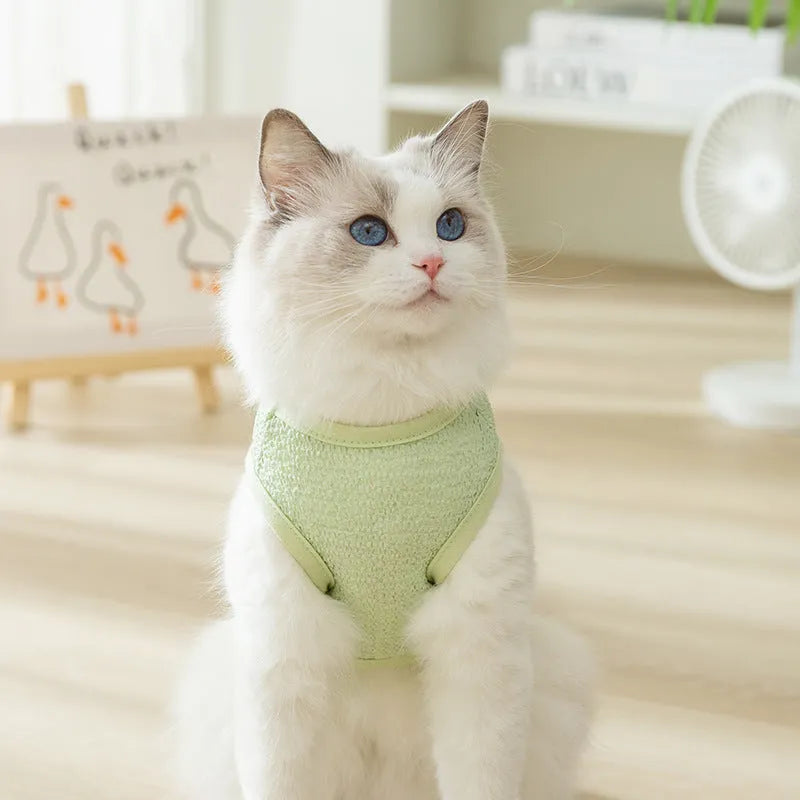 Green hollowed-out cat knitwear with a bear patch, shown in size M on a mannequin.