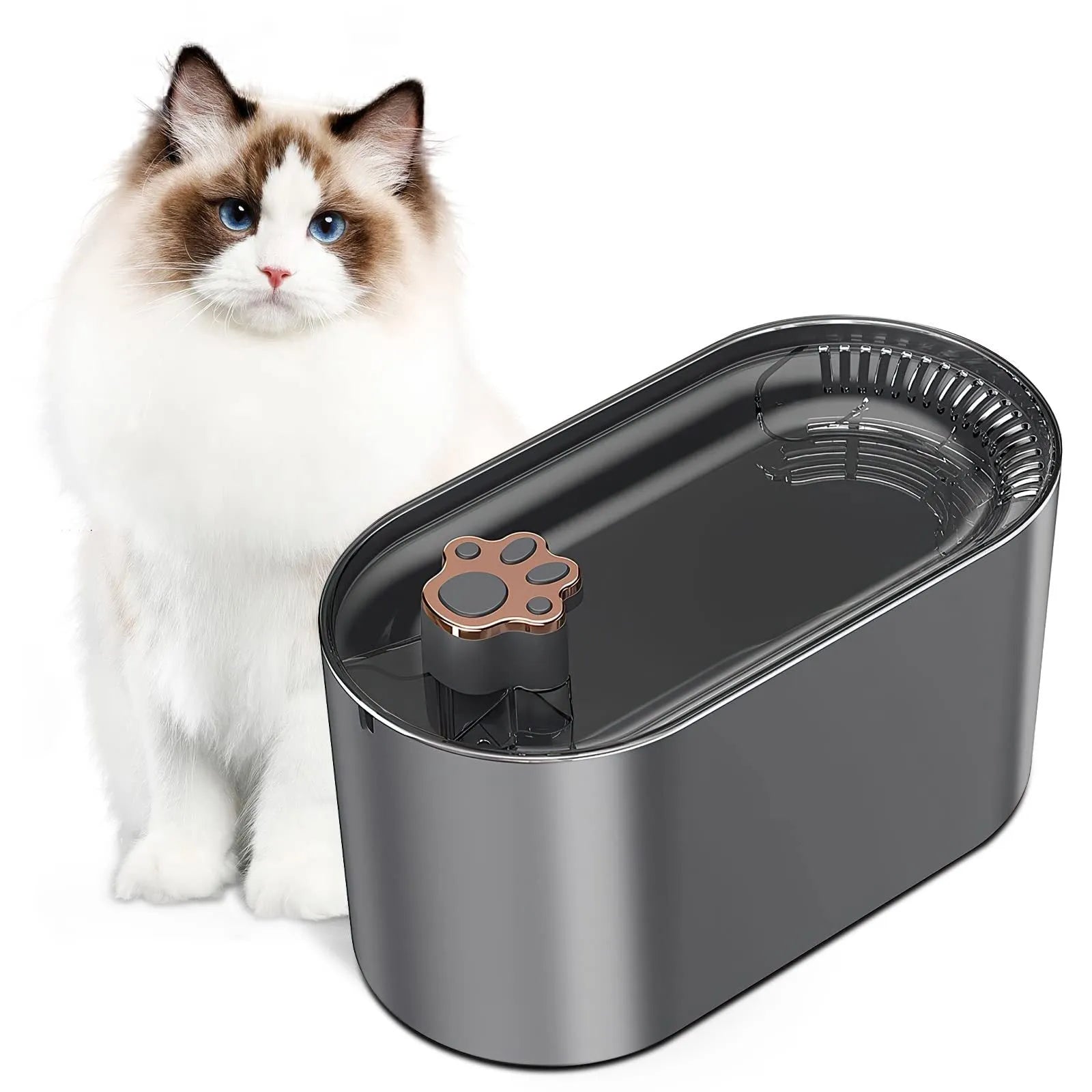 Berlin blue 3L automatic pet water fountain with pump and filter on a floor.