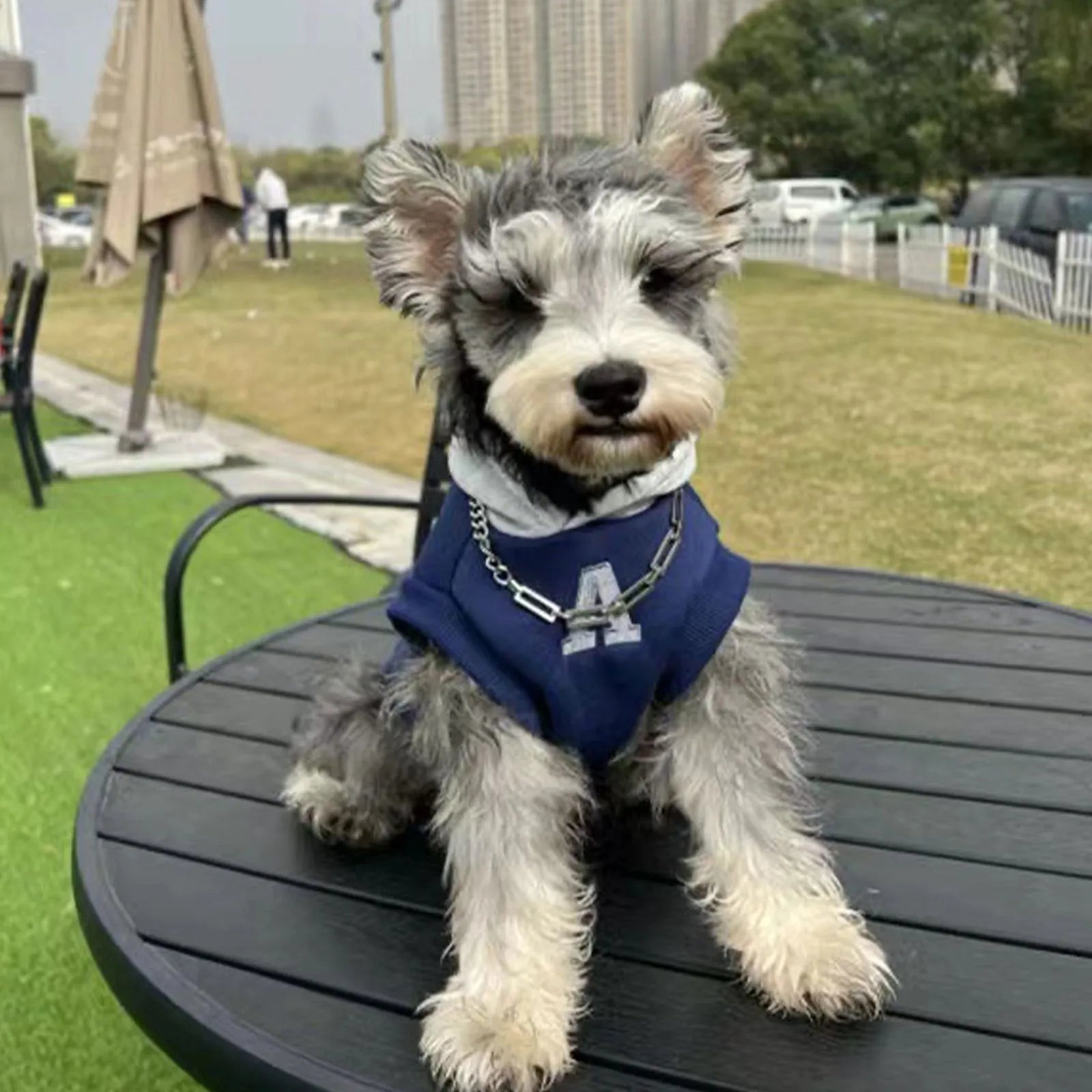 Blue and white reflective letter pet hoodie for cats and dogs in slim-fitting polyester