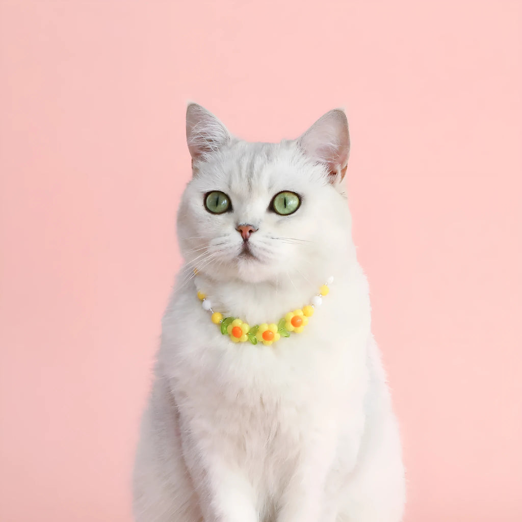 Colourful plastic bead pet necklace in small flower, rainbow, or peach design on an adjustable collar