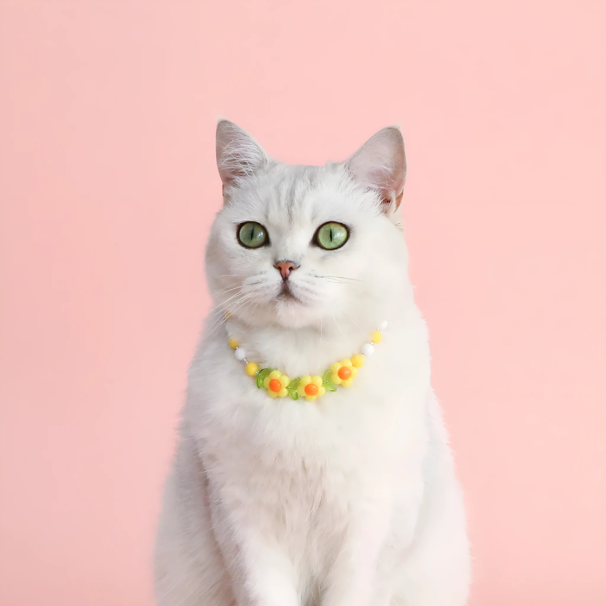 Colourful plastic bead pet necklace in small flower, rainbow, or peach design on an adjustable collar