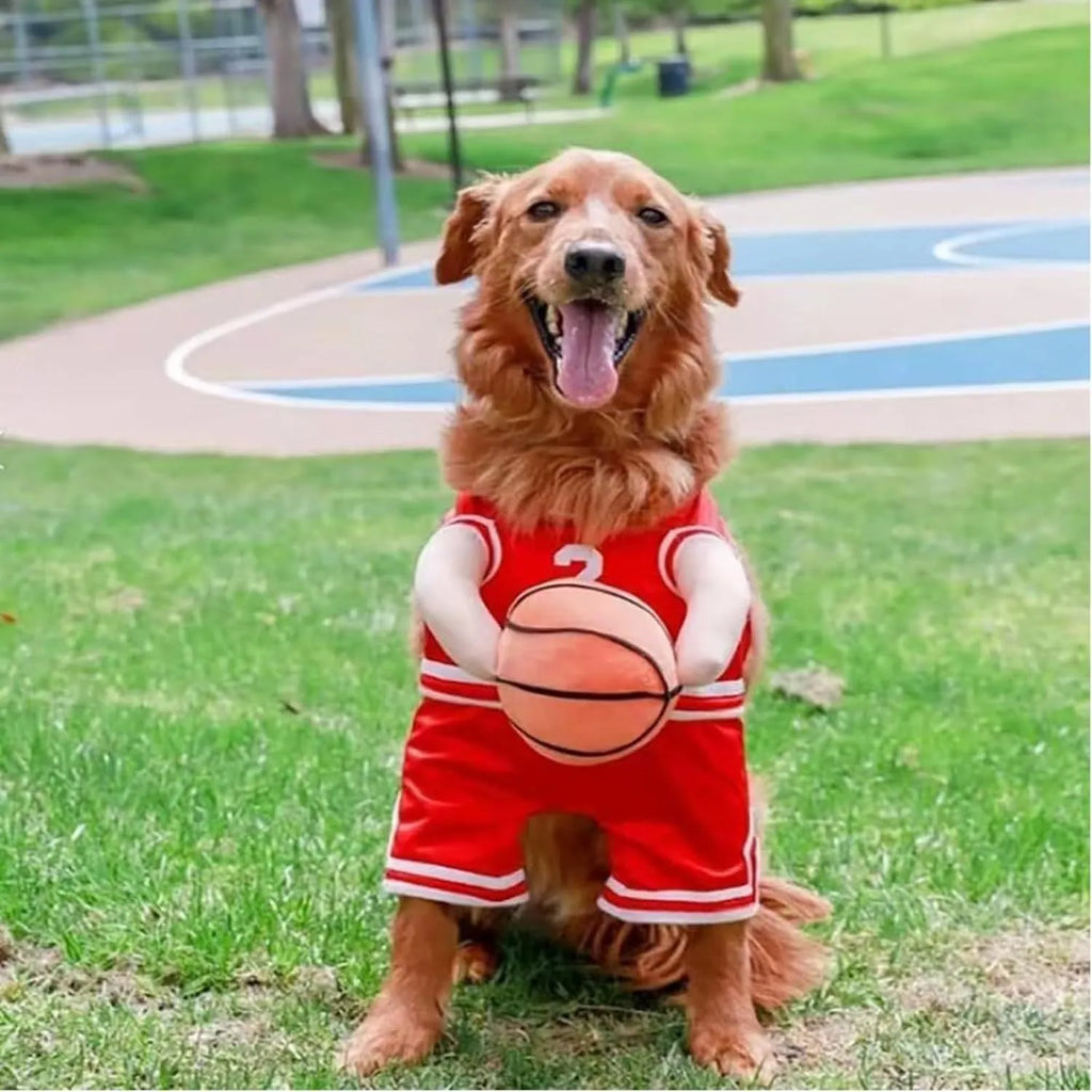 Dog basketball player costume in red or yellow with padded arms and toy basketball, S M L sizes