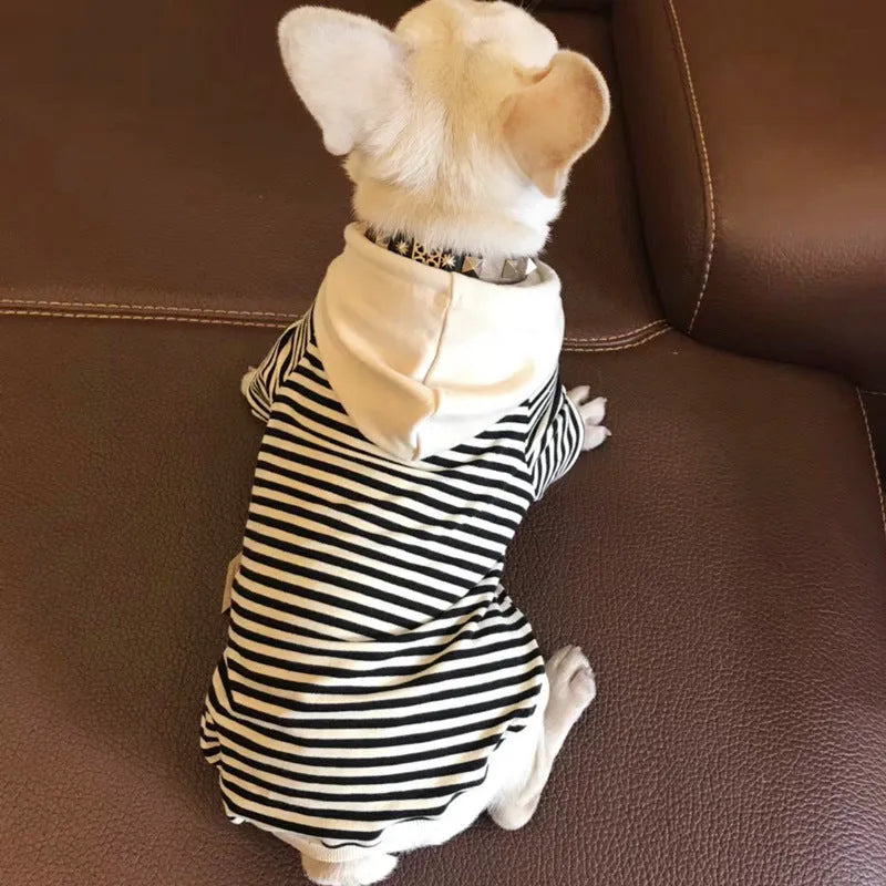 Cotton terry dog sweater in khaki for Teddy small breeds, front view