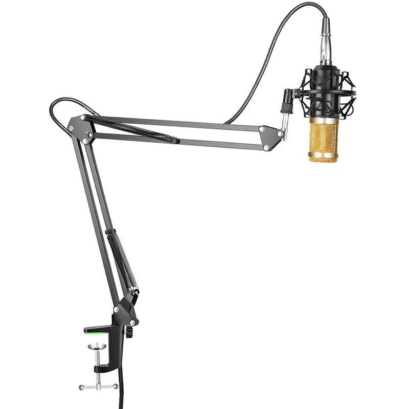 BM-800 condenser microphone set with net stand in black on desktop