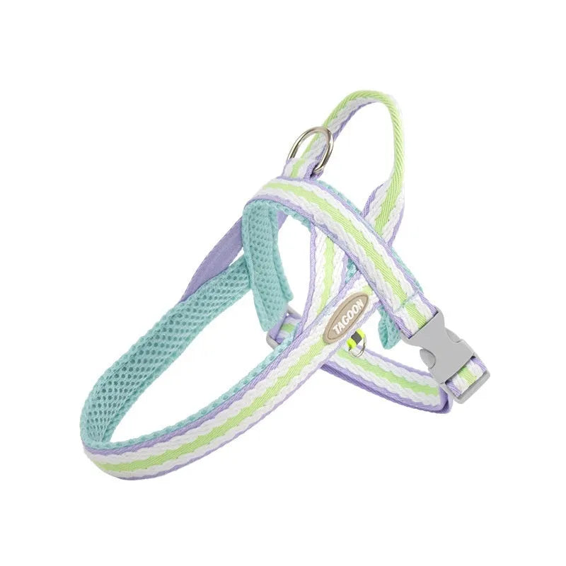 Polyester dog harness with Y-shaped chest strap and integrated hand-holding rope in four colour options