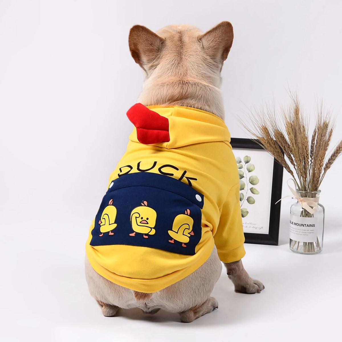 Cotton wool pet dog sweatshirt pull frame in blue red yellow, sizes XS to 2XL and FB