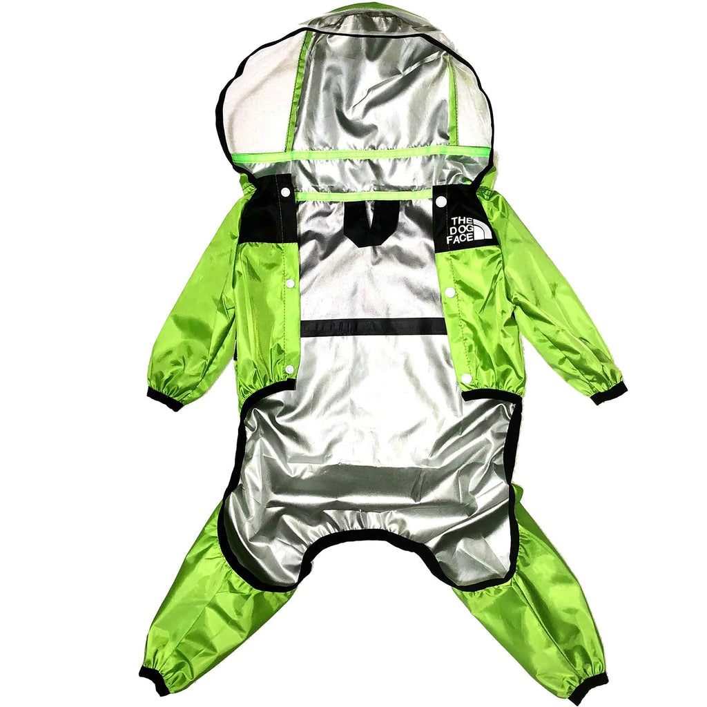 Long-legged dog wearing green rain poncho with transparent brim for rain protection