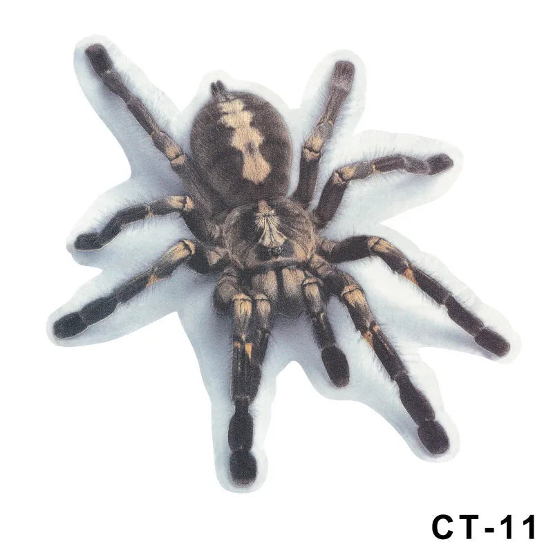 3D simulation matte frosted car sticker with micro-pressure technology showing realistic spider detail on vehicle body