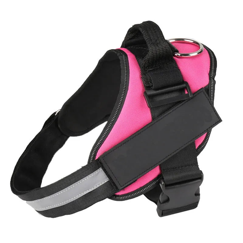 Personalised reflective nylon no-pull dog harness vest on a dog, showing adjustable straps and D-ring.