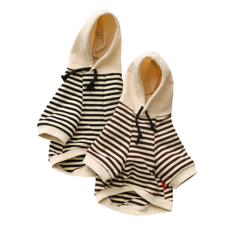 Cotton terry dog sweater in khaki for Teddy small breeds, front view
