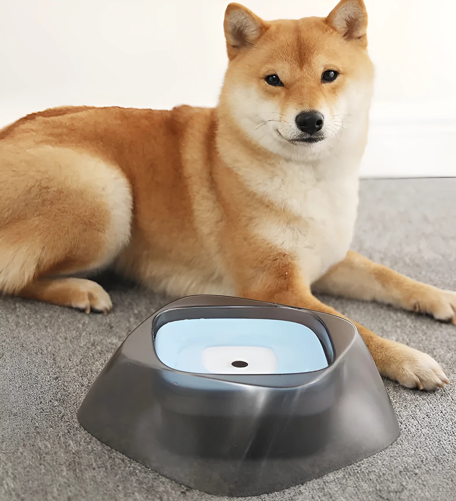 Pet dog bowl with floating anti-spill disc, 750ml capacity, arch shape design, and anti-skid cushion, beige colour
