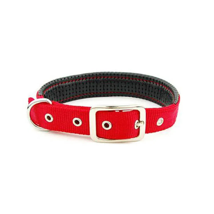 Reflective nylon webbing dog collar with belt buckle on a dog, black colour, size large
