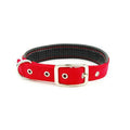 Reflective nylon webbing dog collar with belt buckle on a dog, black colour, size large
