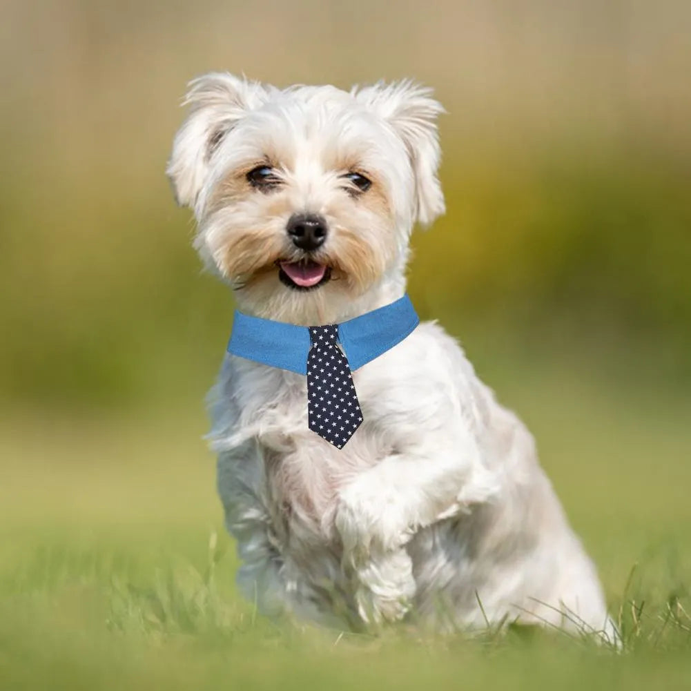 Denim pet collar with star-pattern necktie on adjustable fastener tape closure