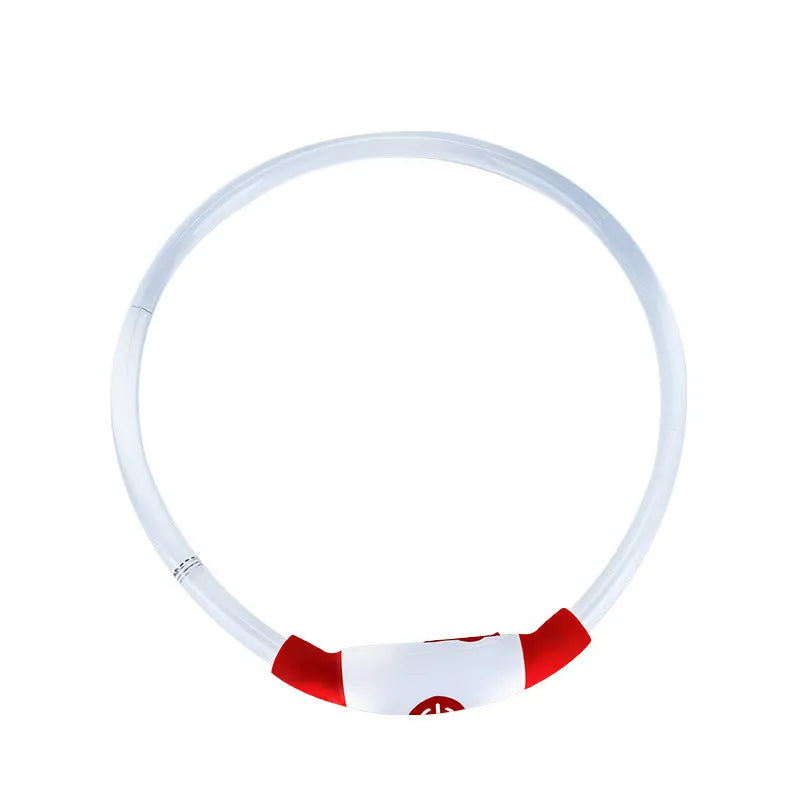 Blue USB rechargeable LED dog collar glowing on a dog's neck at night.