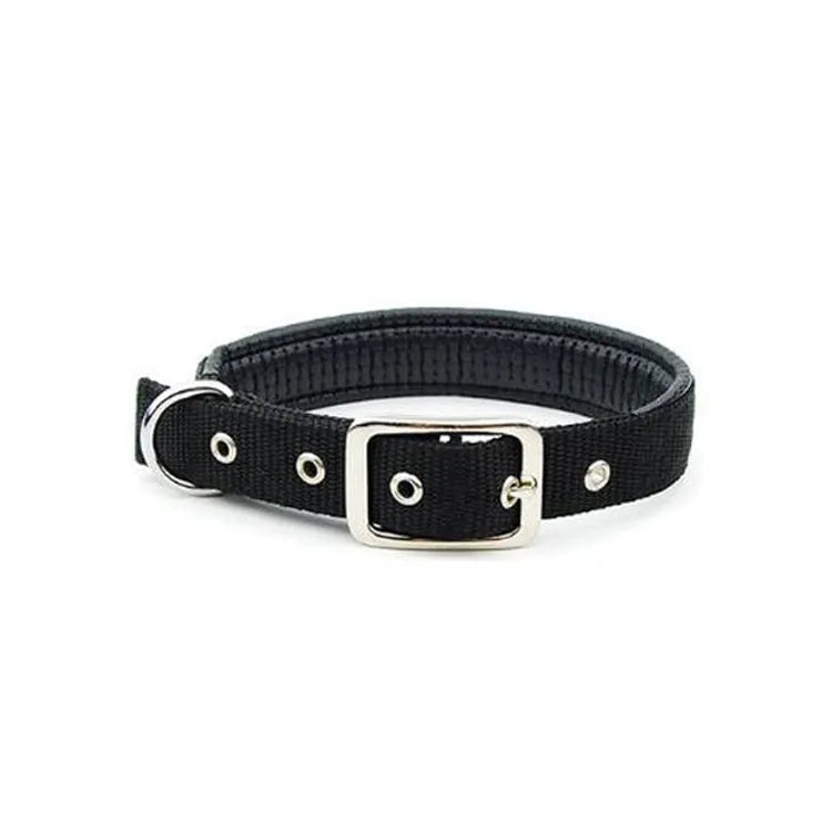 Reflective nylon webbing dog collar with belt buckle on a dog, black colour, size large