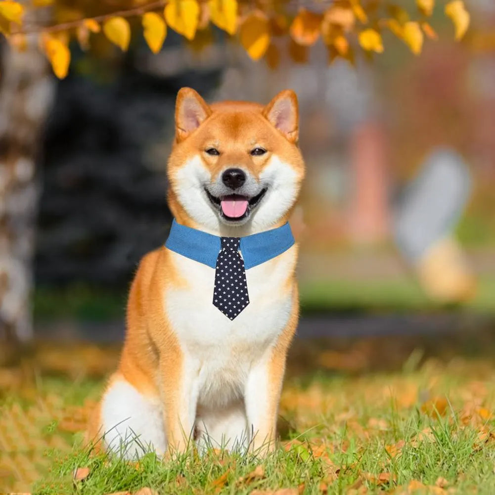 Denim pet collar with star-pattern necktie on adjustable fastener tape closure