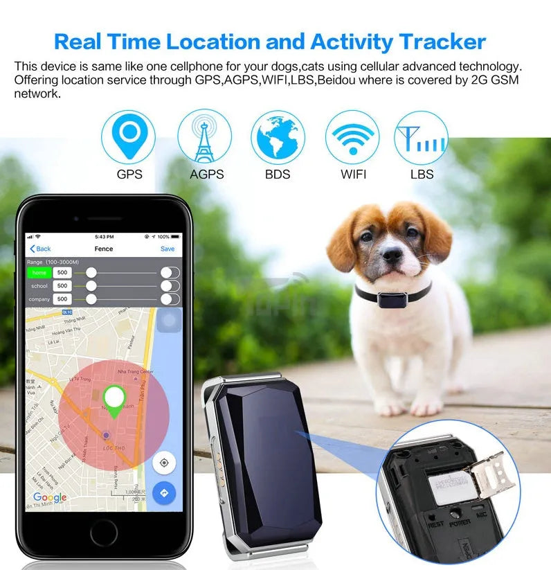 Blue 2G GPS pet tracker on a table with charging cable and hanging rope