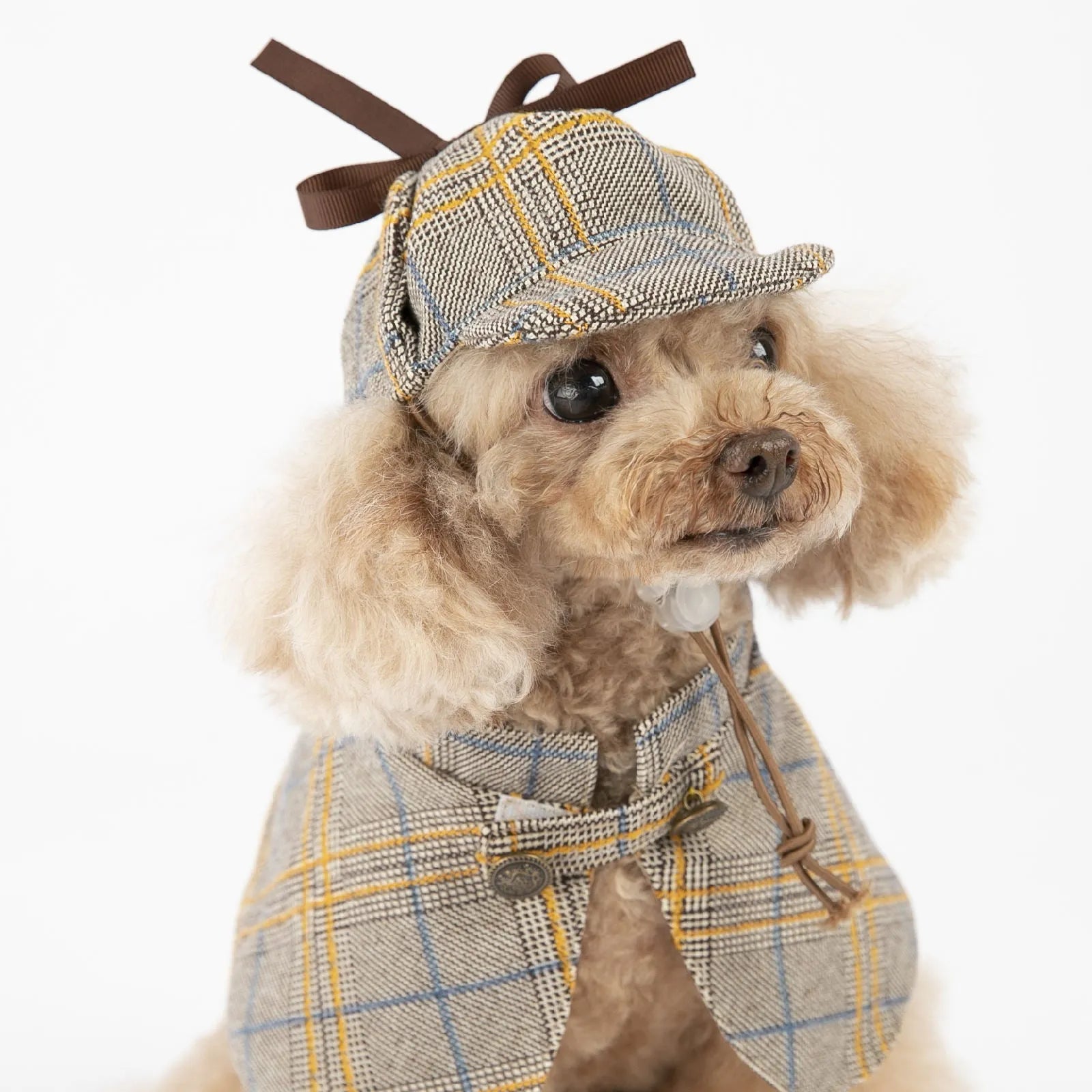 Camel-coloured cotton dog cloak with adjustable hood shown on a small breed dog.