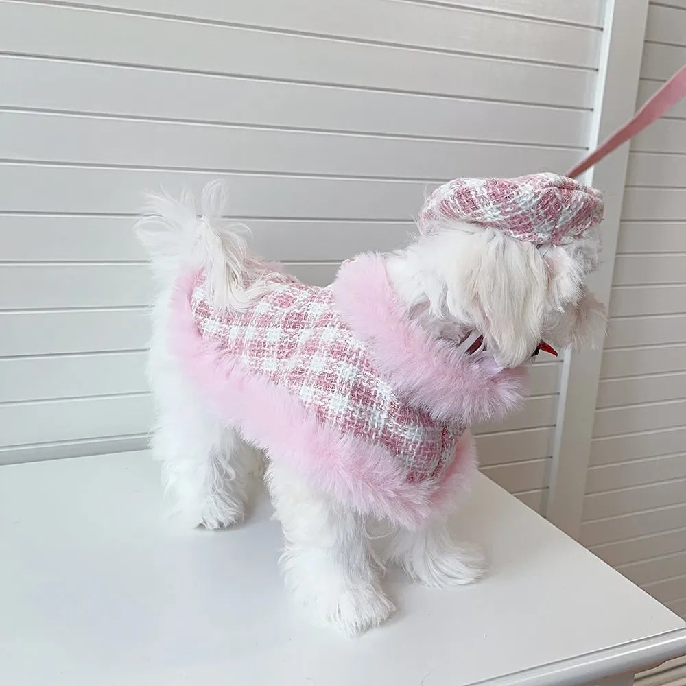 Cat wearing pink polyester cloak costume with beret and hand-holding rope