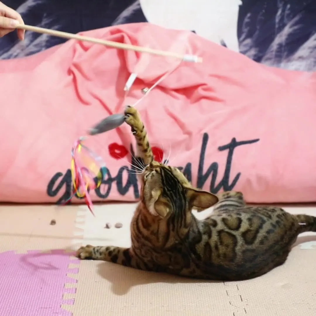 Interactive cat wand toy with colourful ribbons, bell, and catnip fish on a wooden handle.