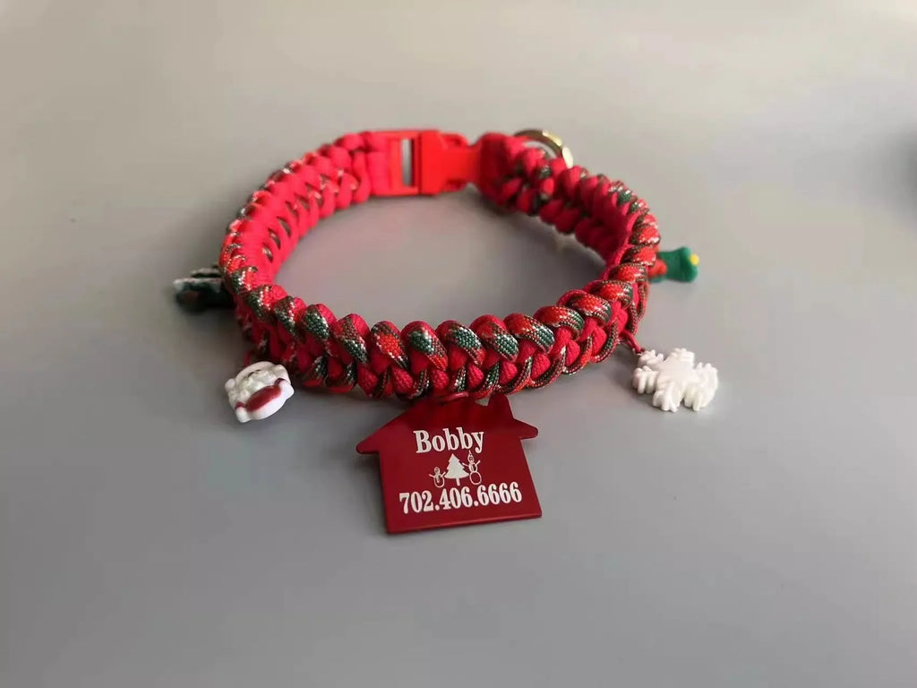 Green rope dog leash with a P chain section and a metal release buckle, held in a hand.