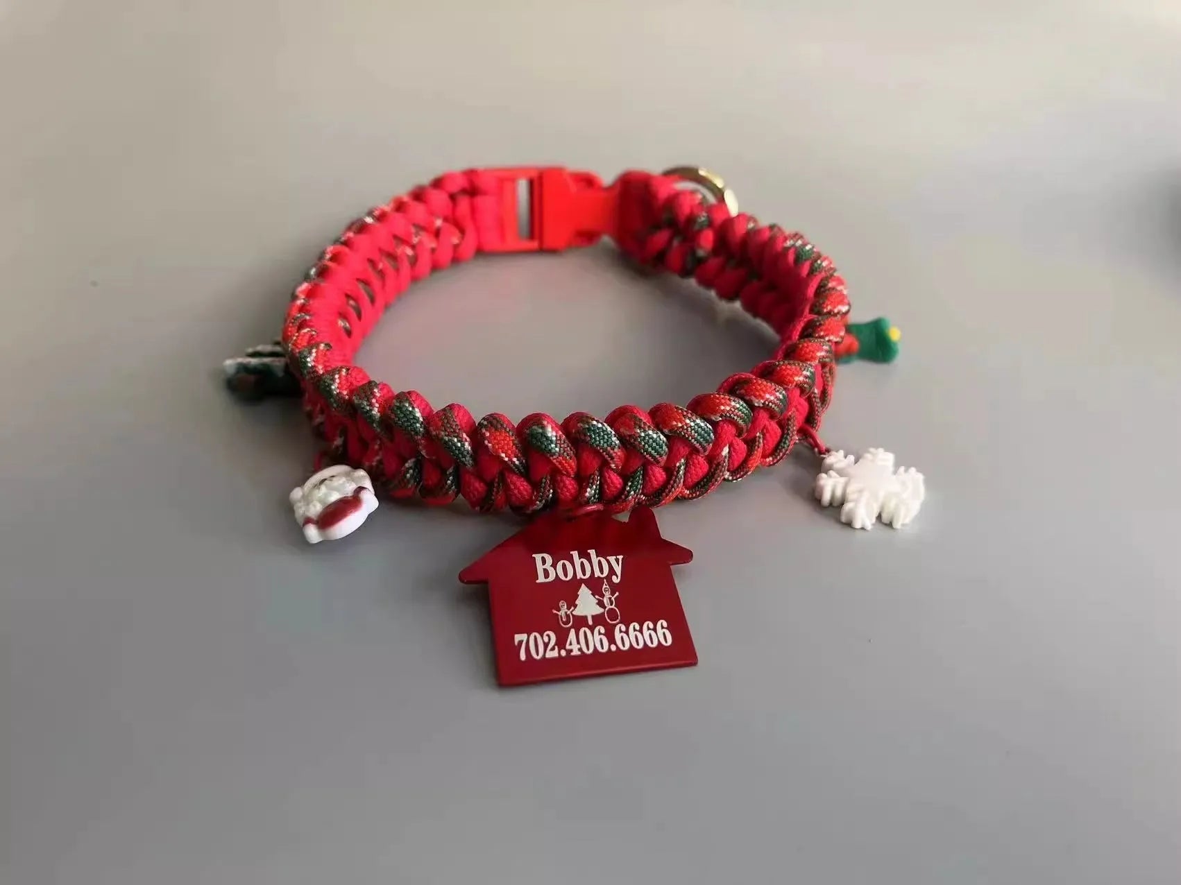 Green rope dog leash with a P chain section and a metal release buckle, held in a hand.