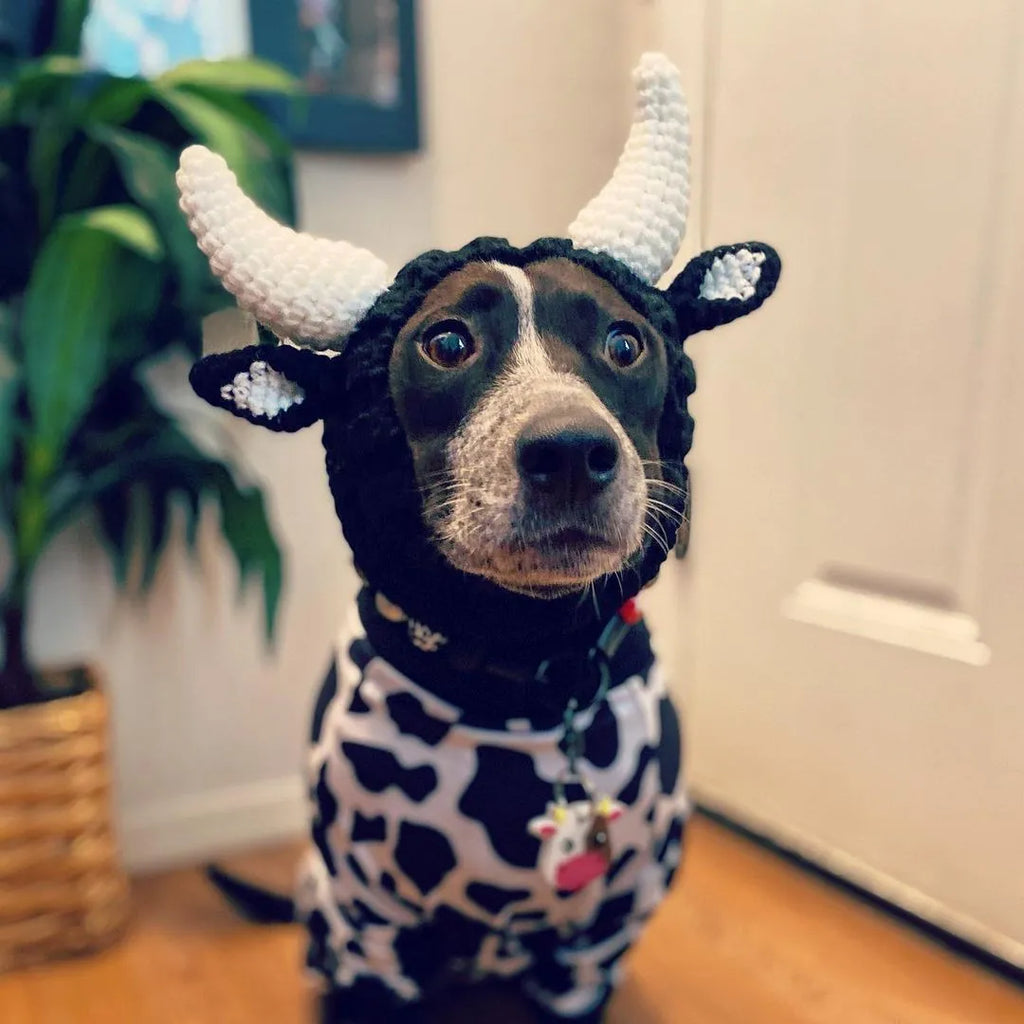 Black Cow knitted acrylic dog hat, thermal windproof jacquard pet hat in sizes S M L for four seasons