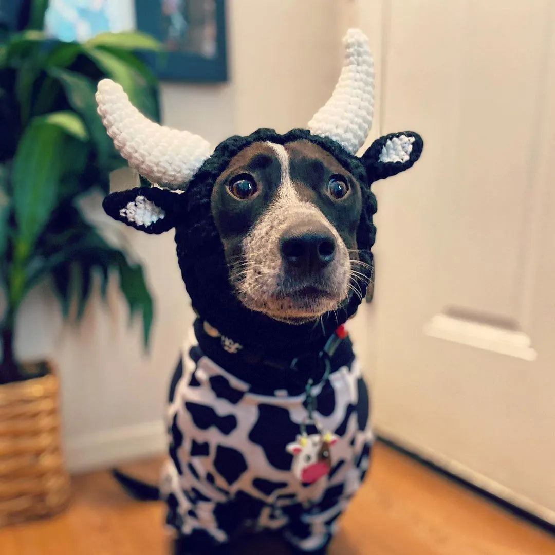 Black Cow knitted acrylic dog hat, thermal windproof jacquard pet hat in sizes S M L for four seasons