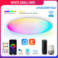 300mm diameter RGBCW smart ceiling lamp in black finish with remote control