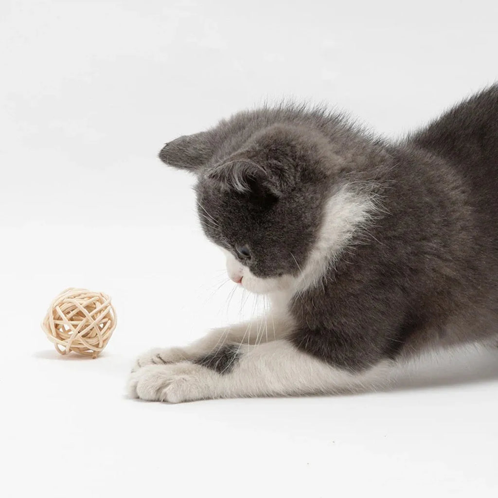 Two cat toy balls: one rattan ball and one faux feather ball with bell on a plain background.