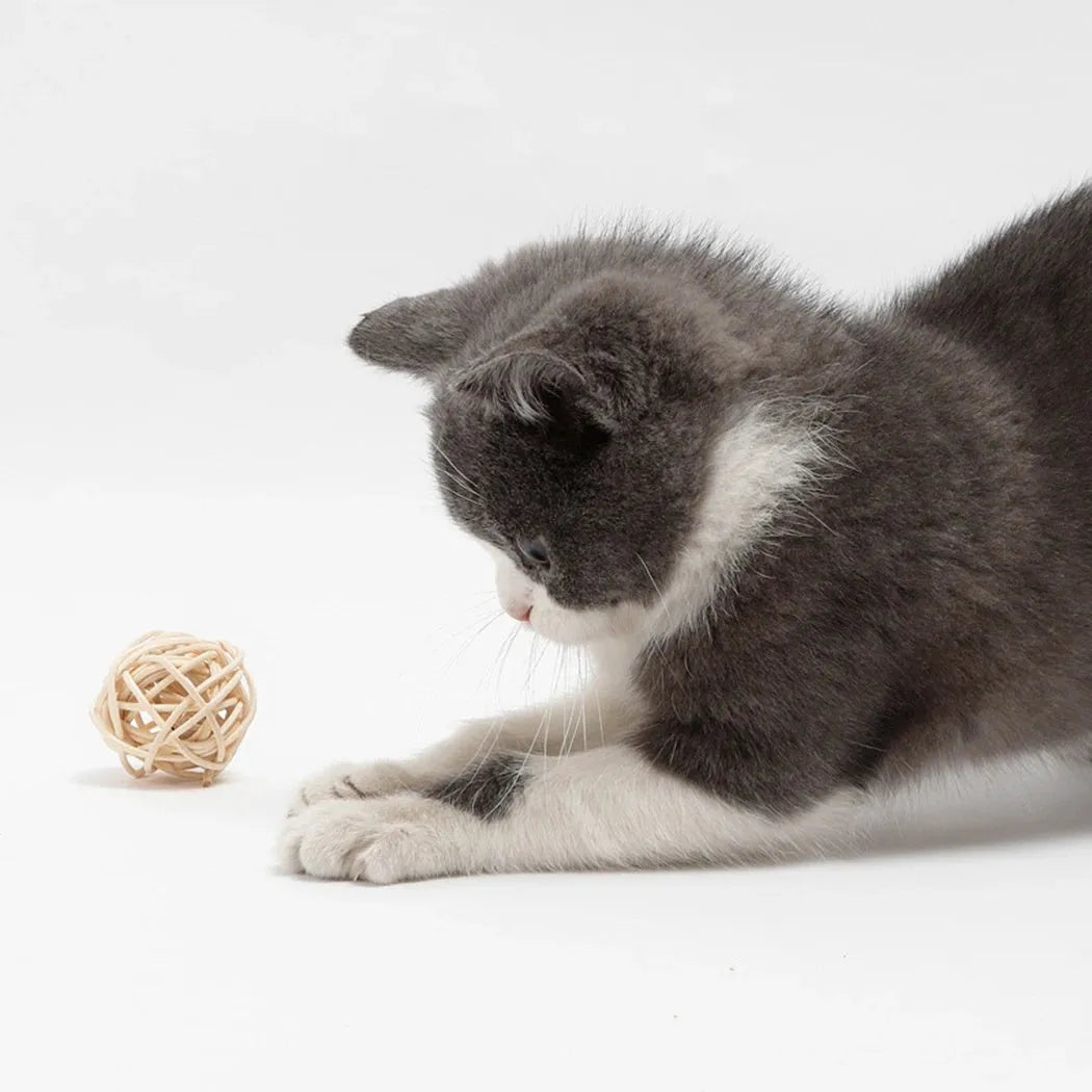 Two cat toy balls: one rattan ball and one faux feather ball with bell on a plain background.