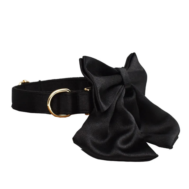 Dog wearing cloth collar and chest-strap vest harness with matching leash and decorative bow attached