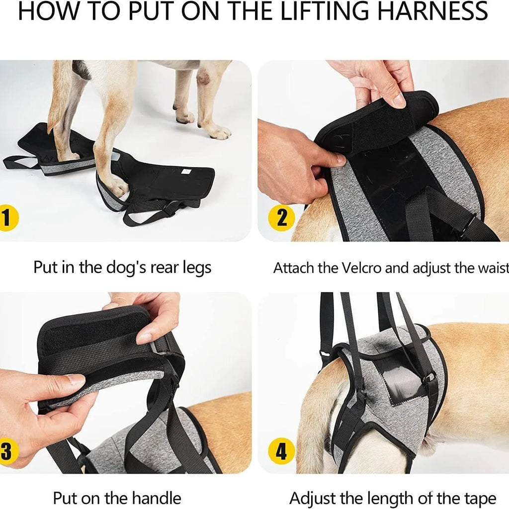 Grey neoprene dog rear leg recovery belt with adjustable waist and thigh straps shown on size chart
