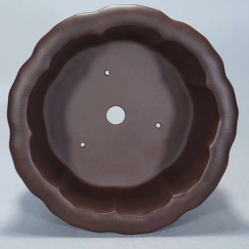 Square purple-red clay succulent pot measuring 37cm wide, showcasing classical Chinese style on a wooden surface.