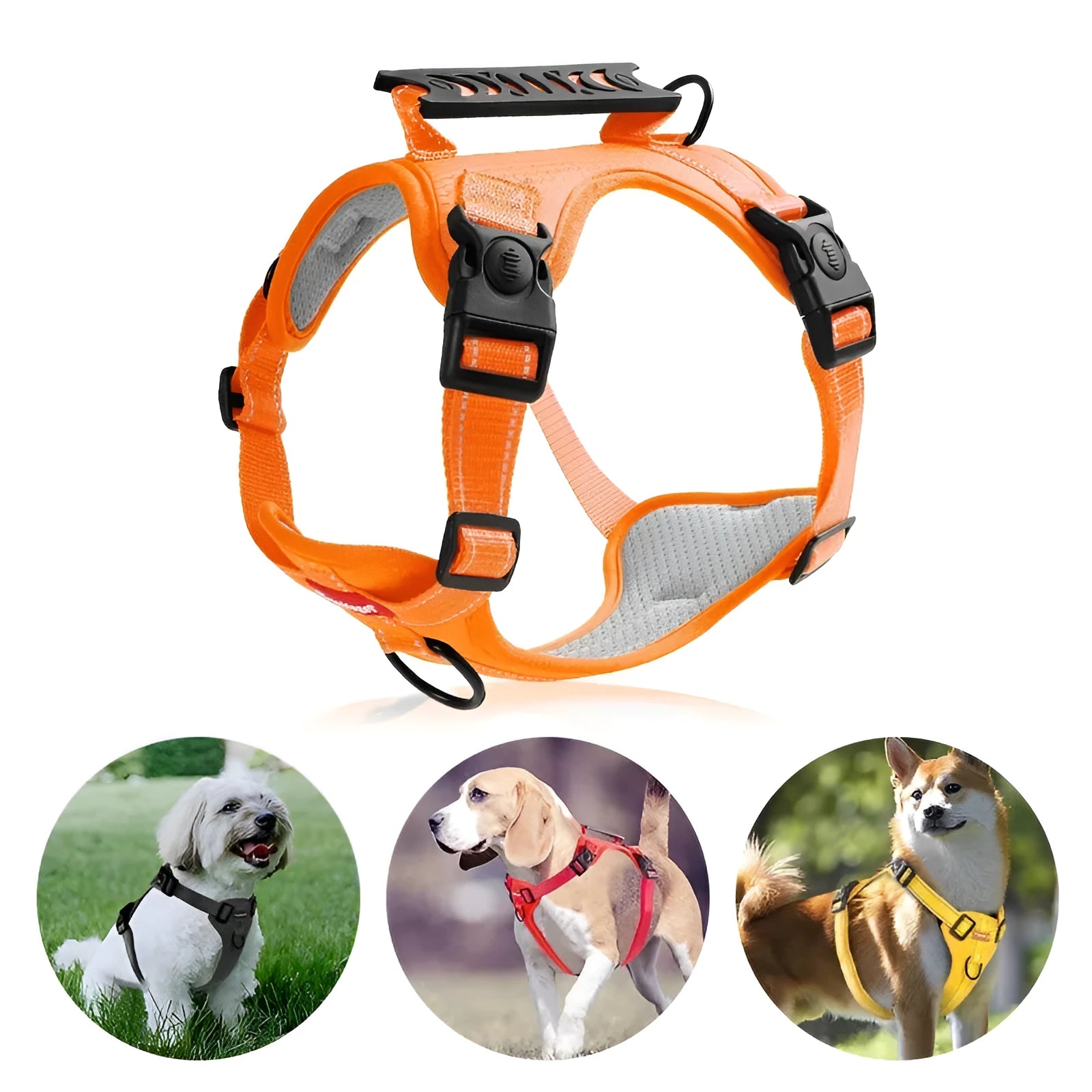A coloured polyester dog chest harness with an attached leash, shown in size options XS to XL.