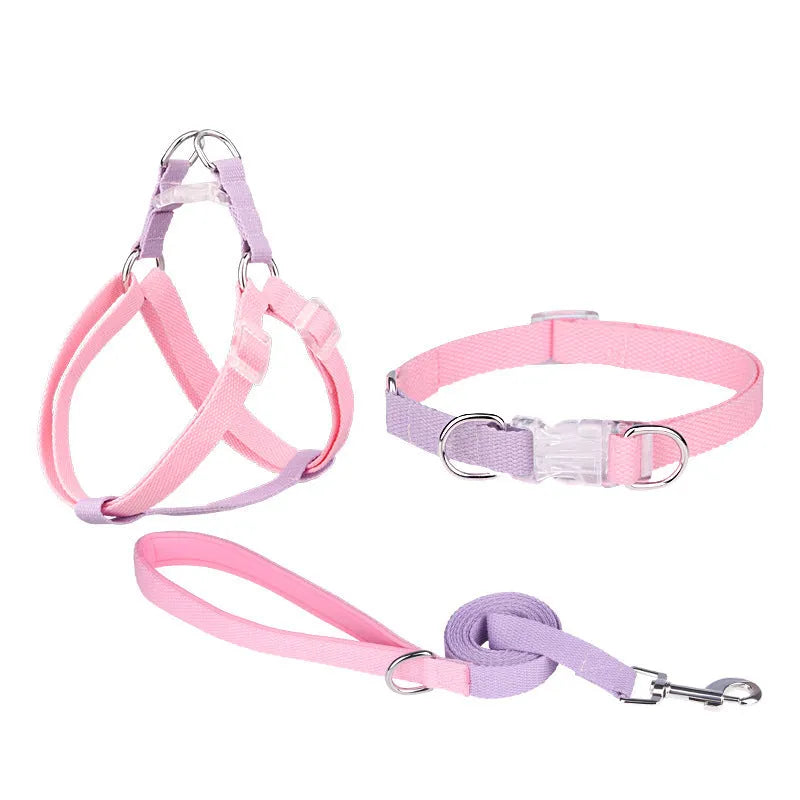 Polyester ribbon dog collar, lead, and chest strap set in a two-tone colour, shown with size adjustment buckle.