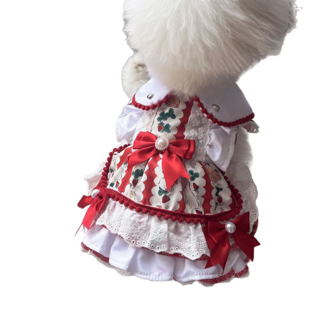 Small white dog wearing a pink rabbit-themed princess skirt with layered fabric.