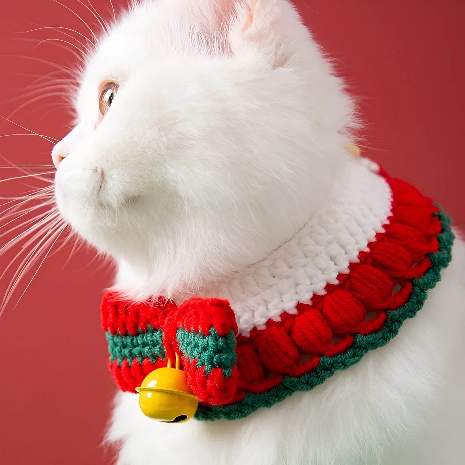 Hand-woven red and white Christmas bow knit collar scarf for a cat on a festive background.